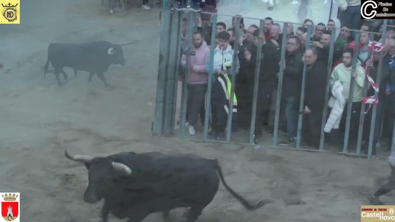 2025  04  3º DESENCAJONAO PEÑA MIL DUROS San Anton Castellnovo 11 01 2025