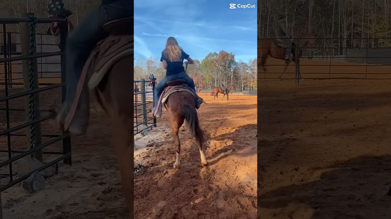 Feisty heffier 😂 #horse #bucking #fyp