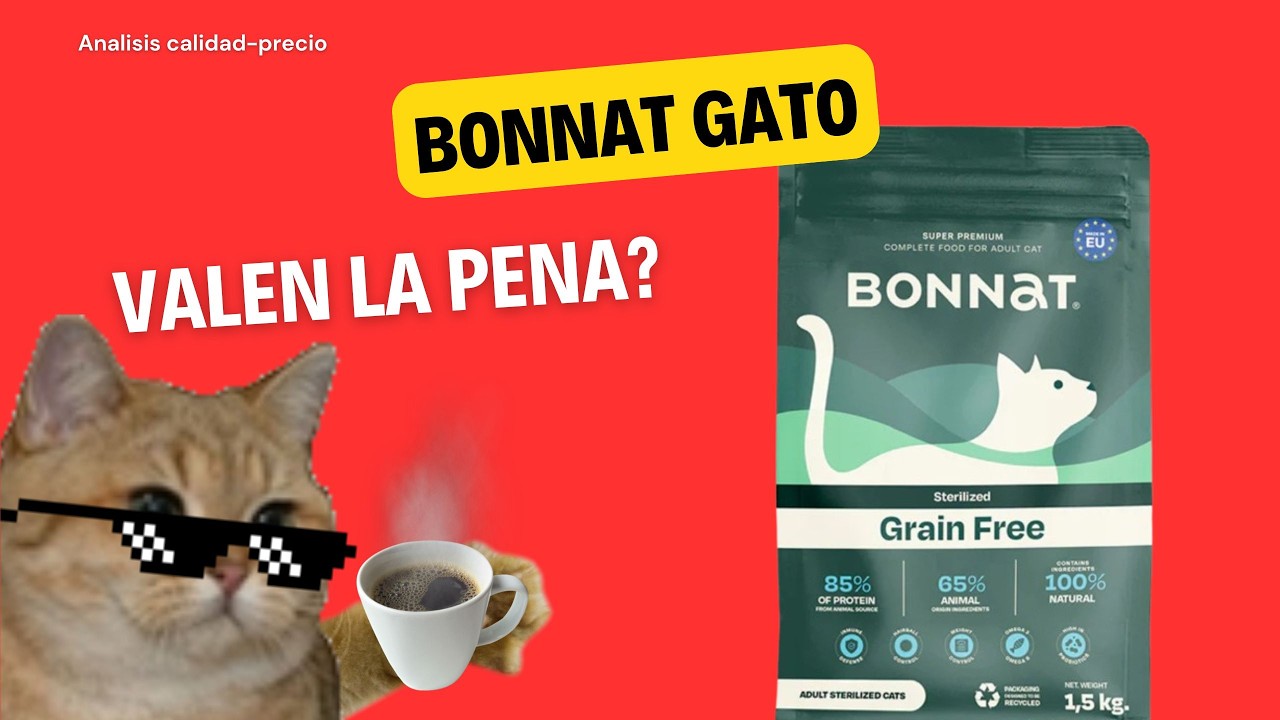 Análisis de alimento para Gato: Bonnat Gato