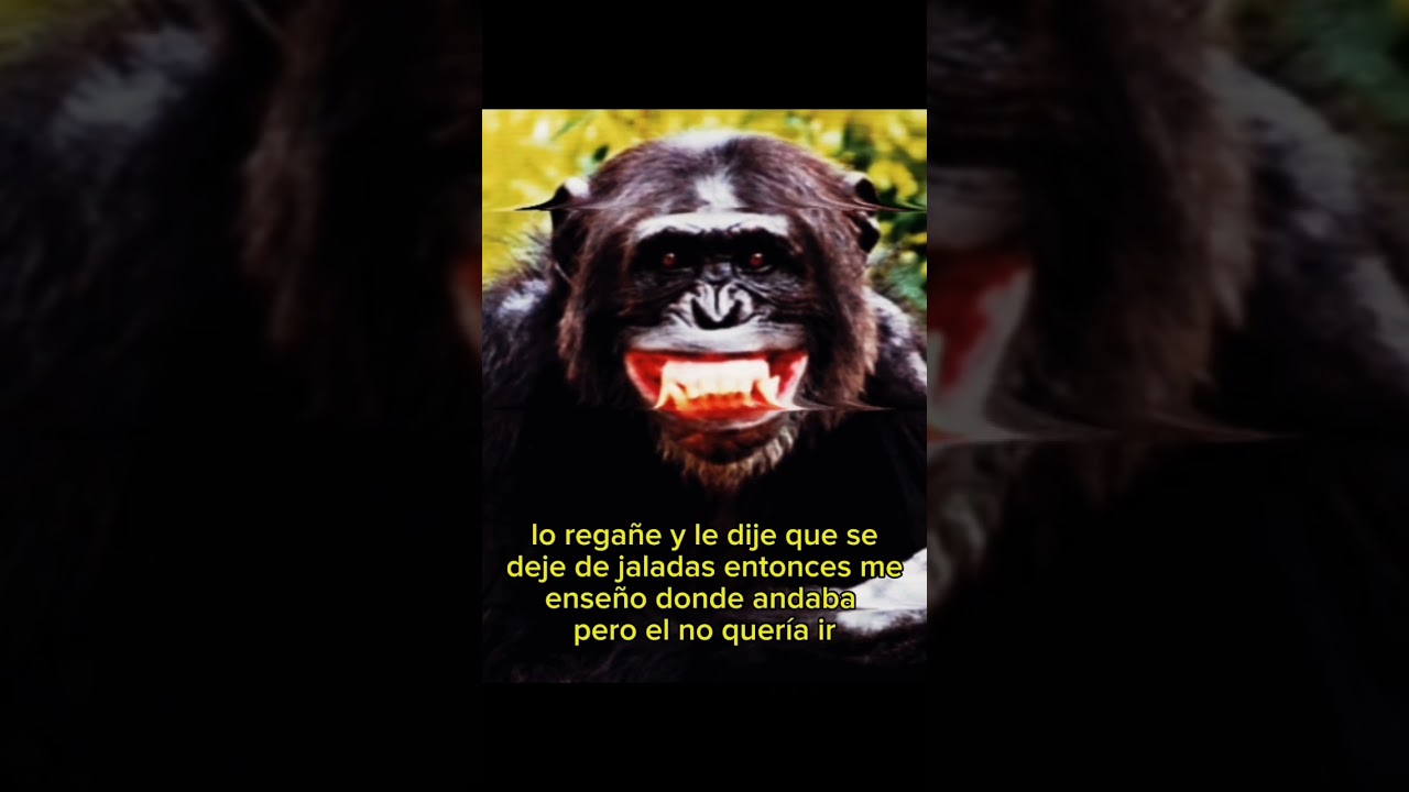 #nahual#relatosdeterror#burros