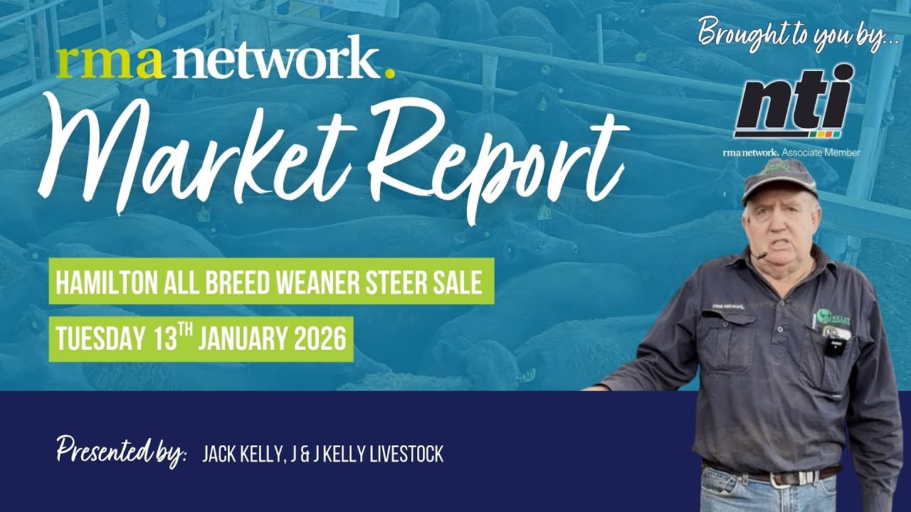 Hamilton All Breed Weaner Steer Sale - Tuesday 13th January 2026