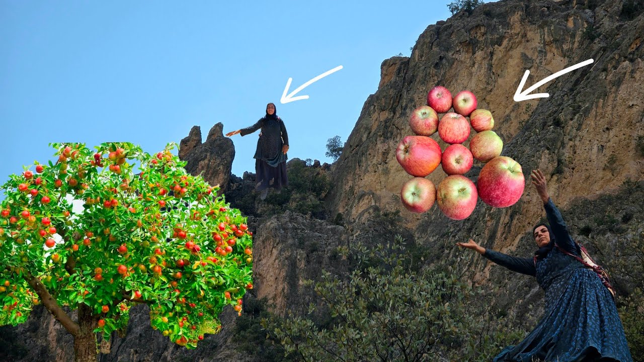Esmat’s Red Mountain Apple Picking 🍏🏔️