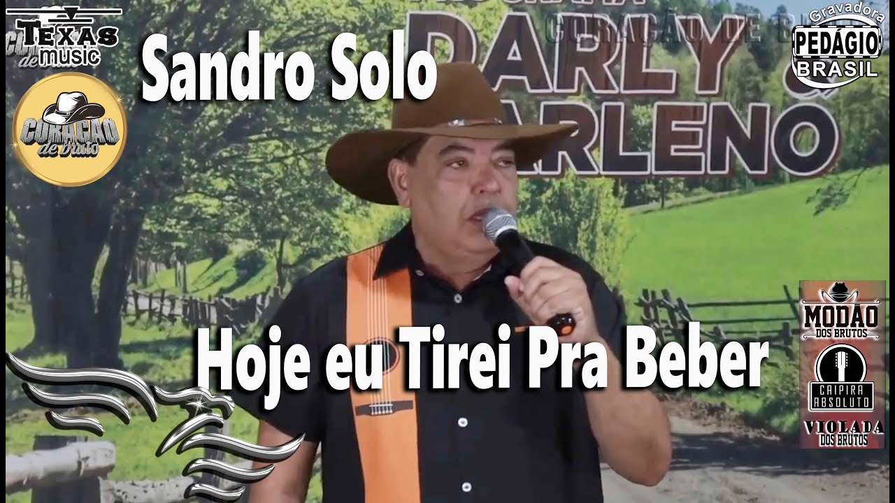 Hoje eu tirei pra Beber - Sandro Solo