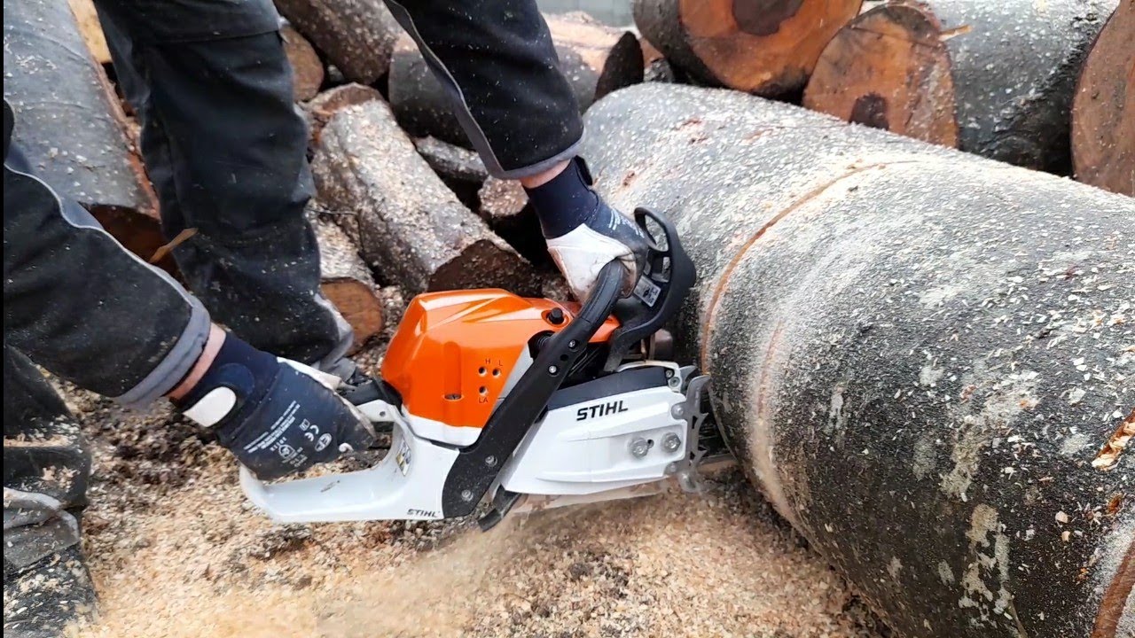 stihl ms 362 in beech wood