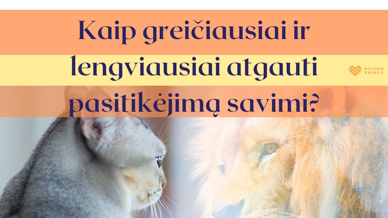 Kaip atgauti pasitikėjimą savimi?