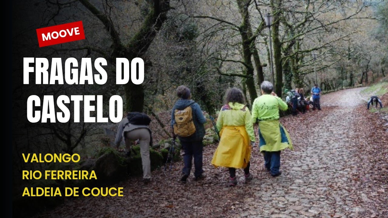 PR3 VLG Trilho das Fragas do Castelo. Valongo. Porto