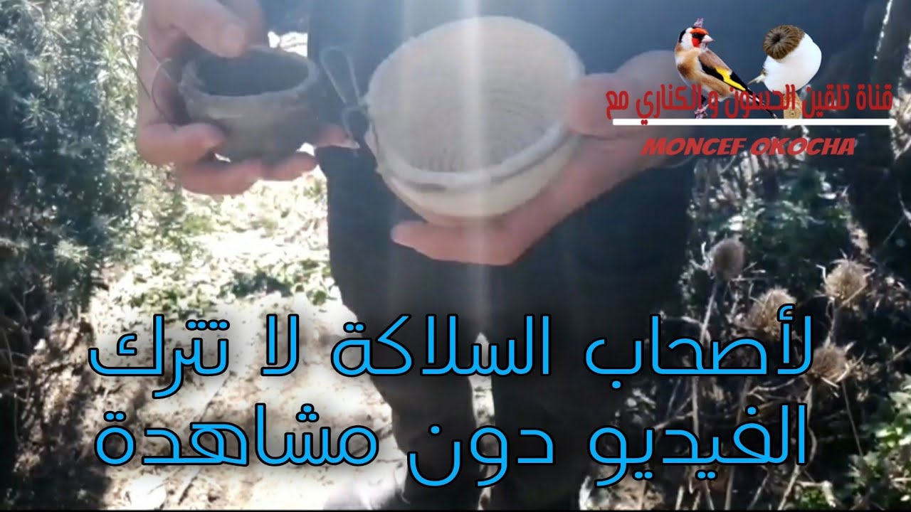 إذا كنت تملك سلاكة لا تدع هذا الفيديو يفوتك ( تجهيز السلاكة للموسم الجديد )