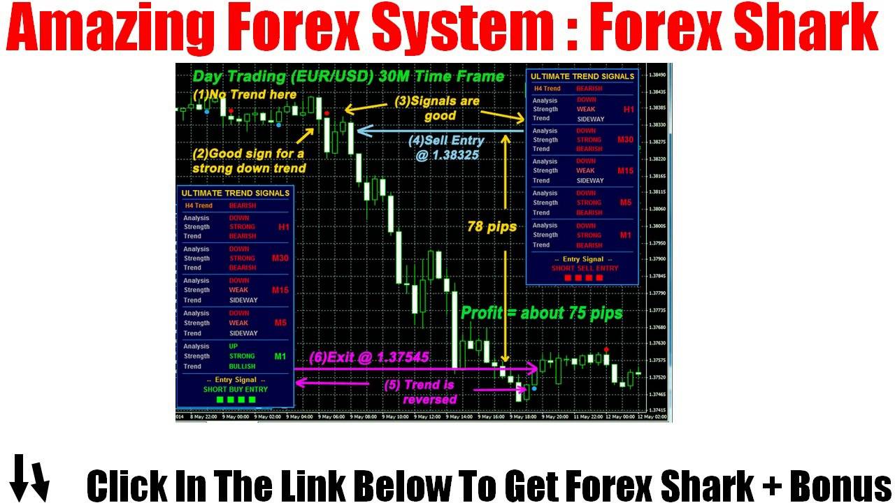 Forex  Shark Review