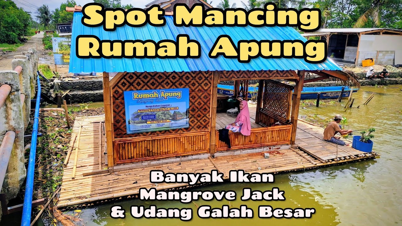 MANCING DI RUMAH APUNG MUARADUA KAMPUNG LAUT