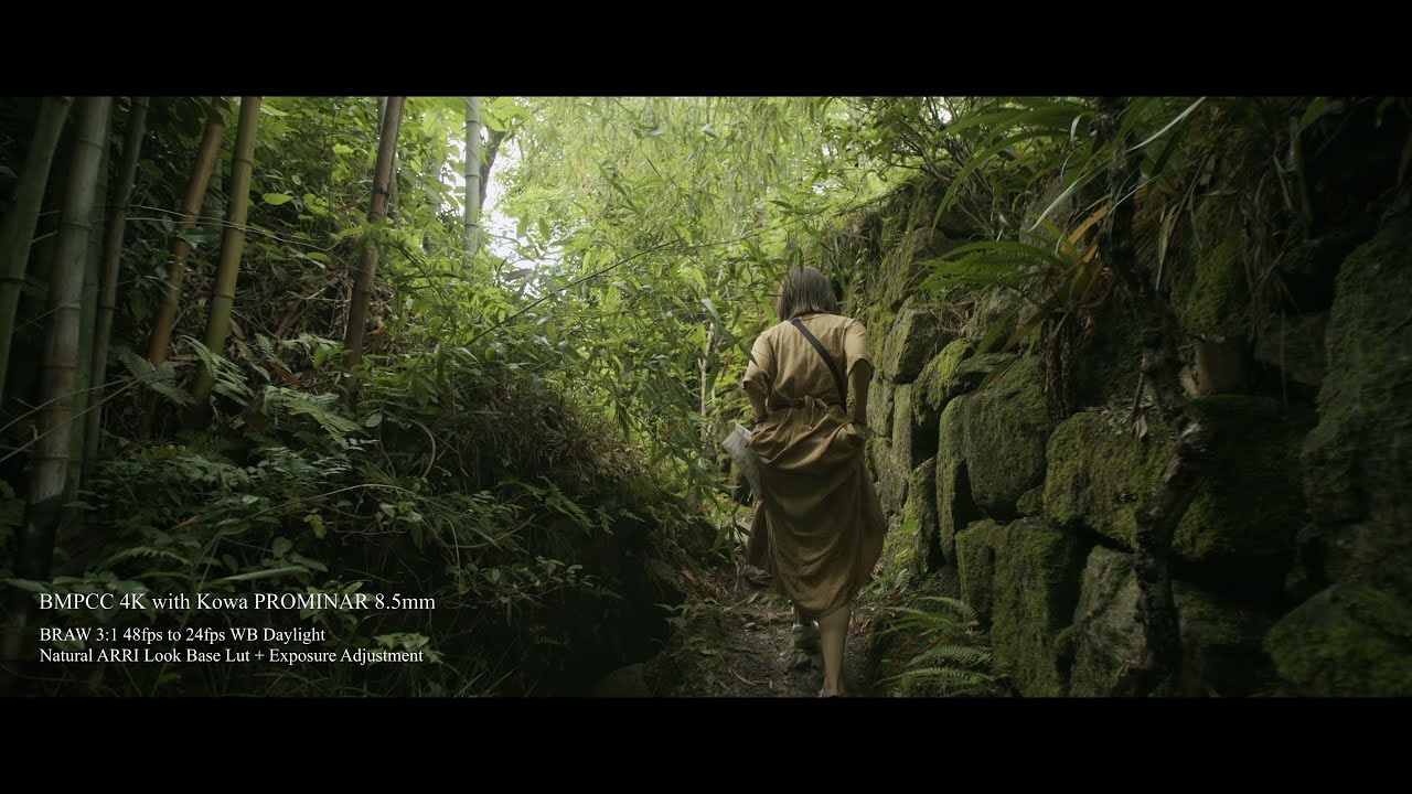 BlackMagic Pocket Cinema Camera 4K | BMPCC 4K RAW to ALEXA Cinematic Look Convert by ARRI Base LUT