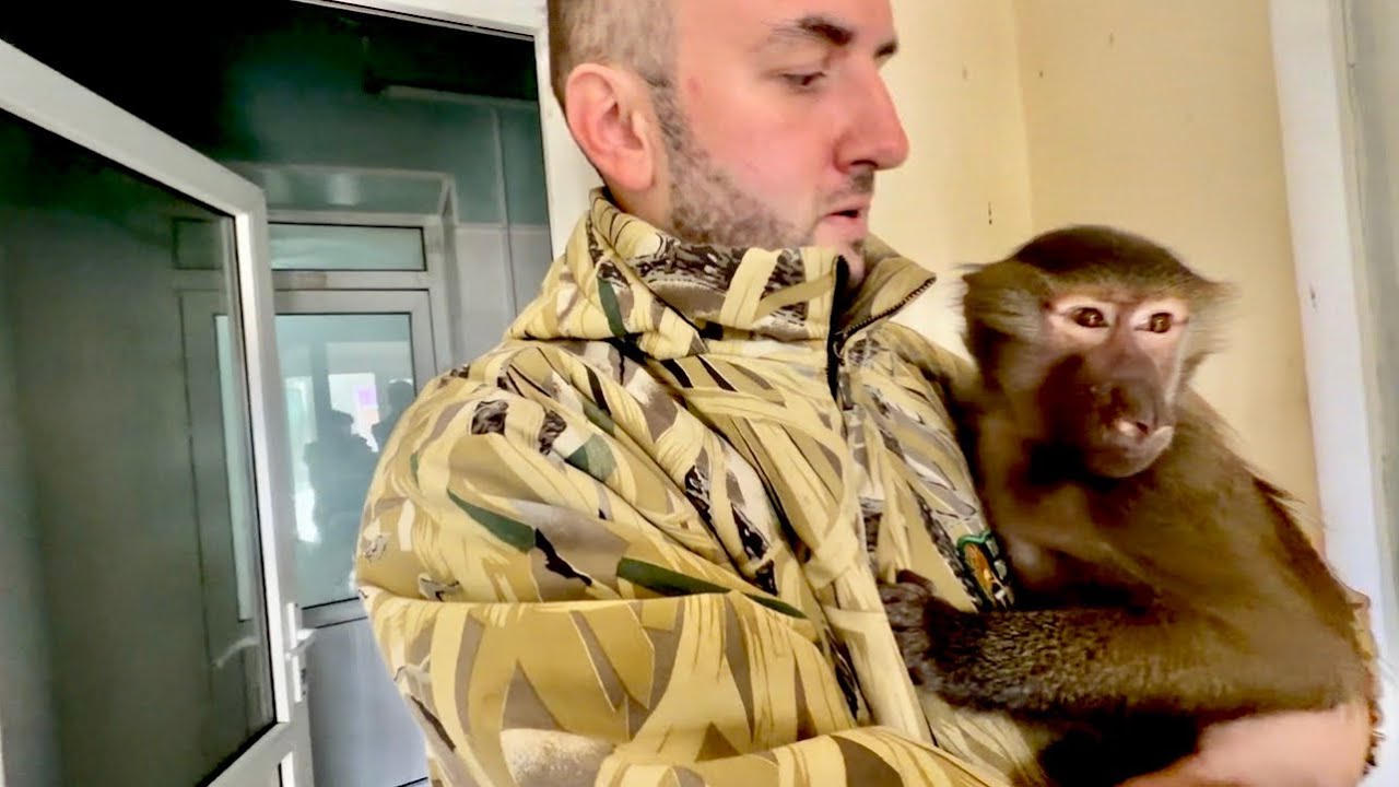 Вот это встреча! Как Степа раз встрече с Денисом❤️