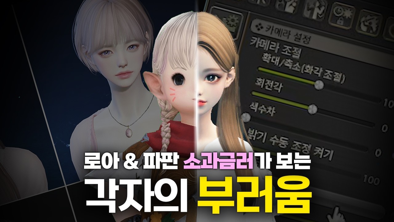 900만원 쓴 로아 소과금러의 파판 부러움