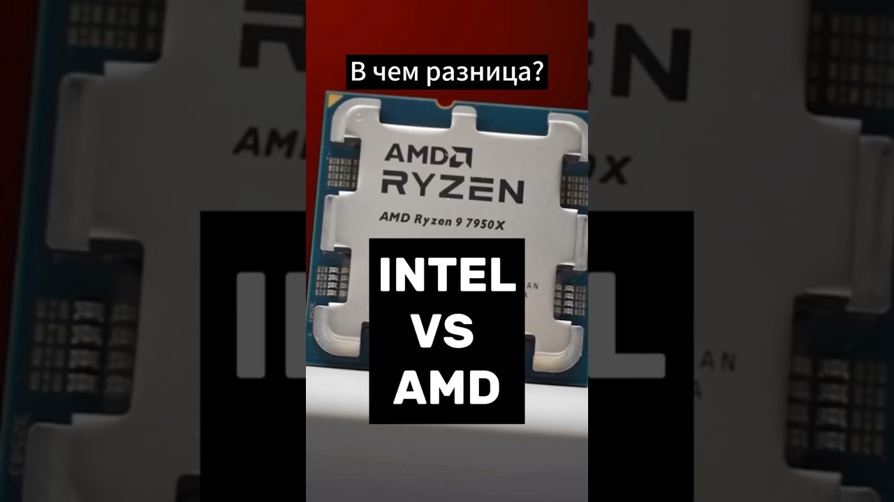 INTEL VS AMD. Разница между процессорами в 2024  #пк #игры #сборкапк #процессор #pc #intel #amd