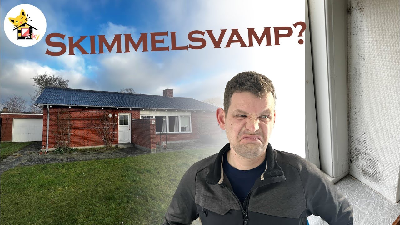 3 lags ENERGIGLAS vinduer = SKIMMELSVAMP?!
