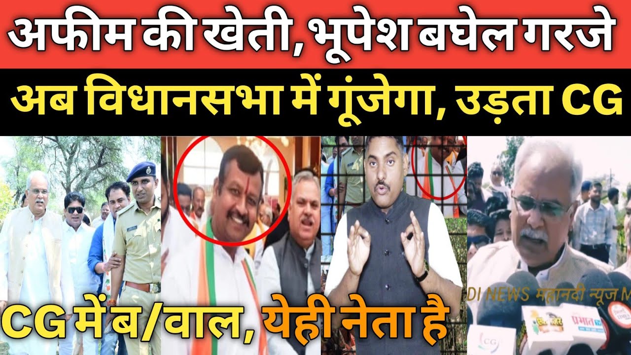 #afimkheti भाजपा नेता की अफीम खेती, भूपेश का ऐलान विधानसभा में गूंजेगा Durg Samoda I BJPI Bhupesh 