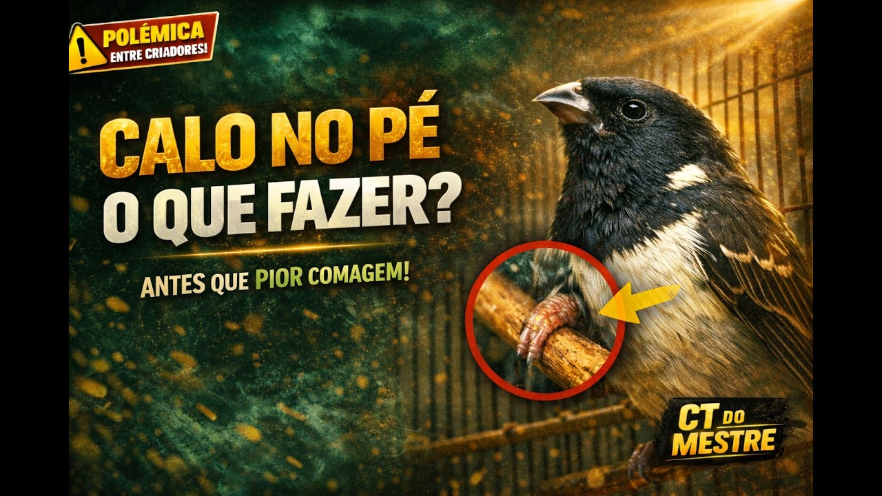 CALO NO PÉ, O QUE FAZER PARA CURAR?
