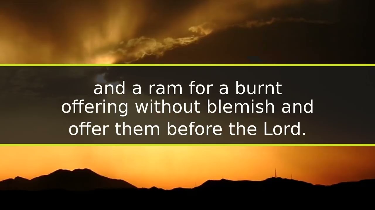RSV - Day: 34 - Passage: Leviticus 8-10