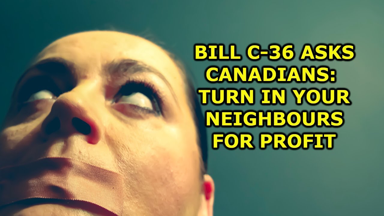 Bill C-36: Anti Hate Speech Law Encourages Canadians To Report Each Other For Profit