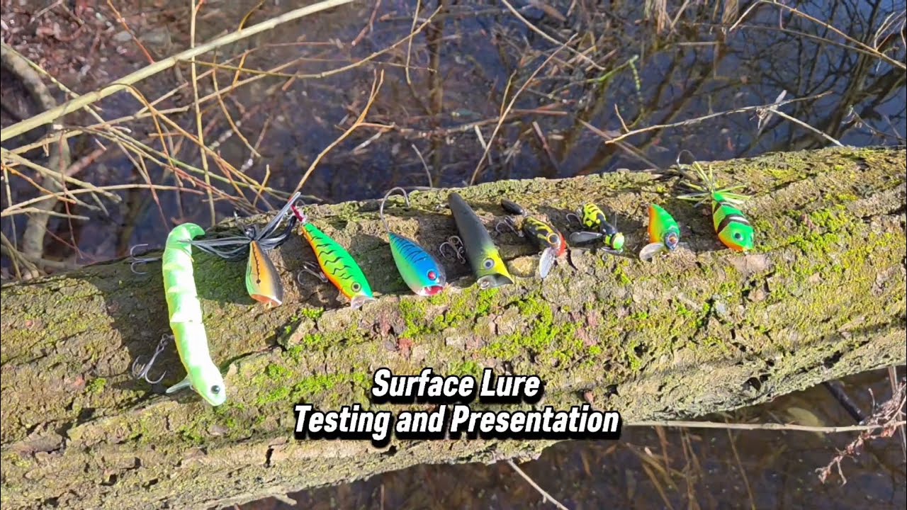 Which topwater lure gets the most bites?