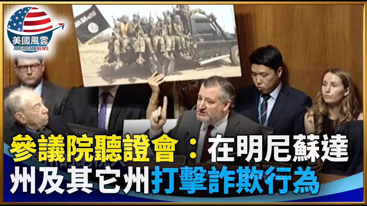 參議院聽證會：在明尼蘇達州及其它州打擊詐欺行為｜ #大紀元新聞網 2/4/2026