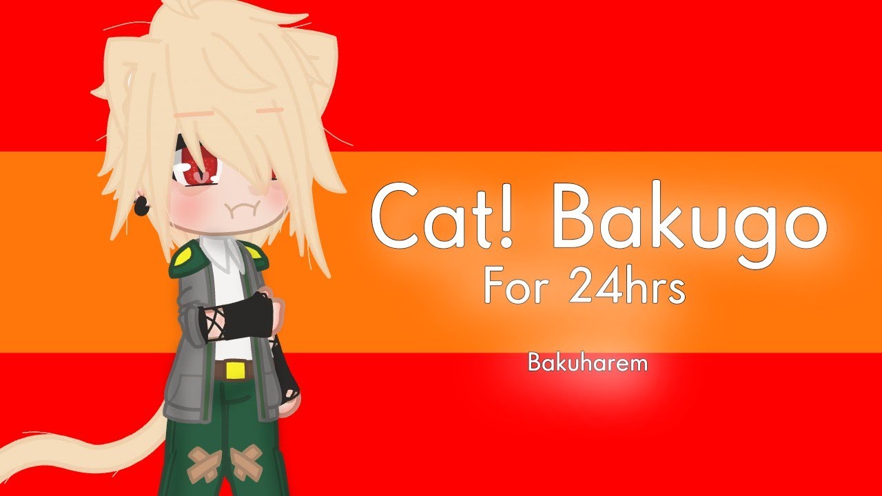 Cat!Bakugo For 24hrs //Bakuharem, Bakubowl// 1/2 MHA/BNHA