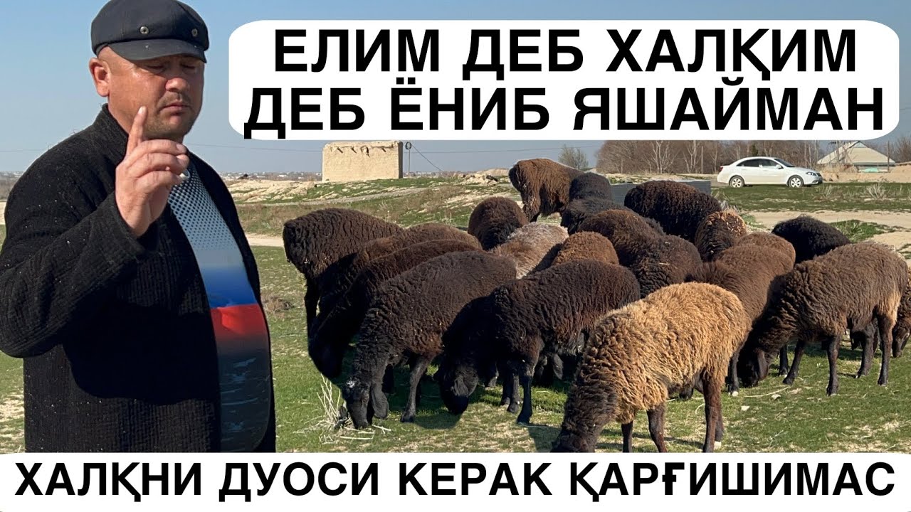 ХАЛҚ УЧУН АРЗОН БӮЛДИ. ☎️+99833 420 09 31