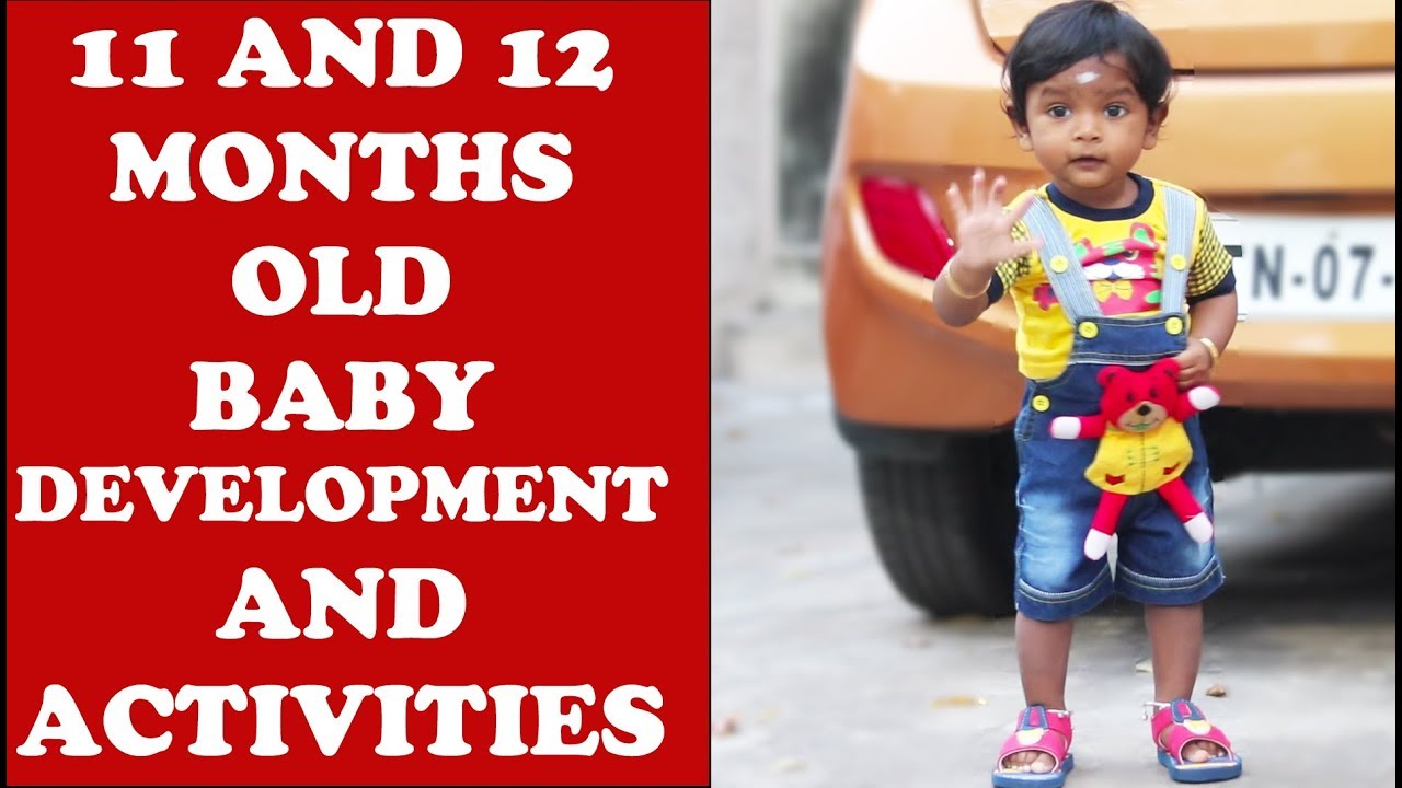 11 & 12 மாதக் குழந்தைகளின் வளர்ச்சி | 11 & 12 MONTHS BABY DEVELOPMENT AND ACTIVITIES