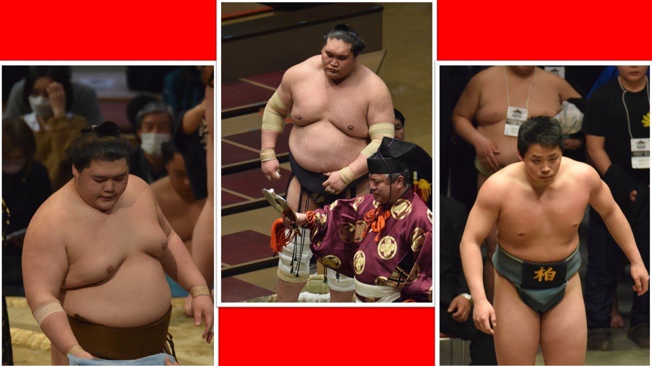 Sumo News (Dec 24th): Terunofuji, Oho, Wakamotoharu, Tebakari turns pro!