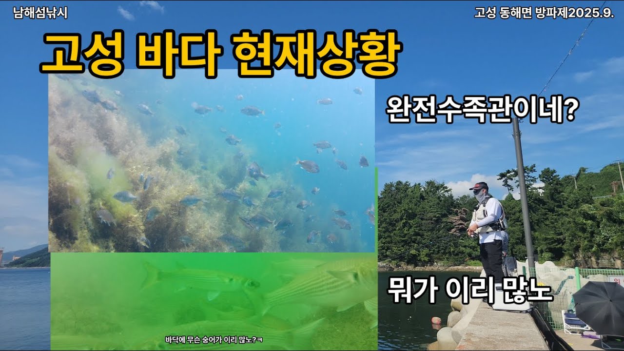 고성 감성돔 고등어 풀치 등 생활낚시로 유명한 방파제 현재 바다 상황은?