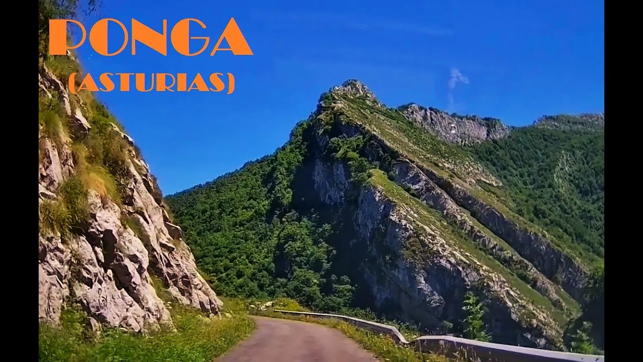 PONGA (Asturias)
