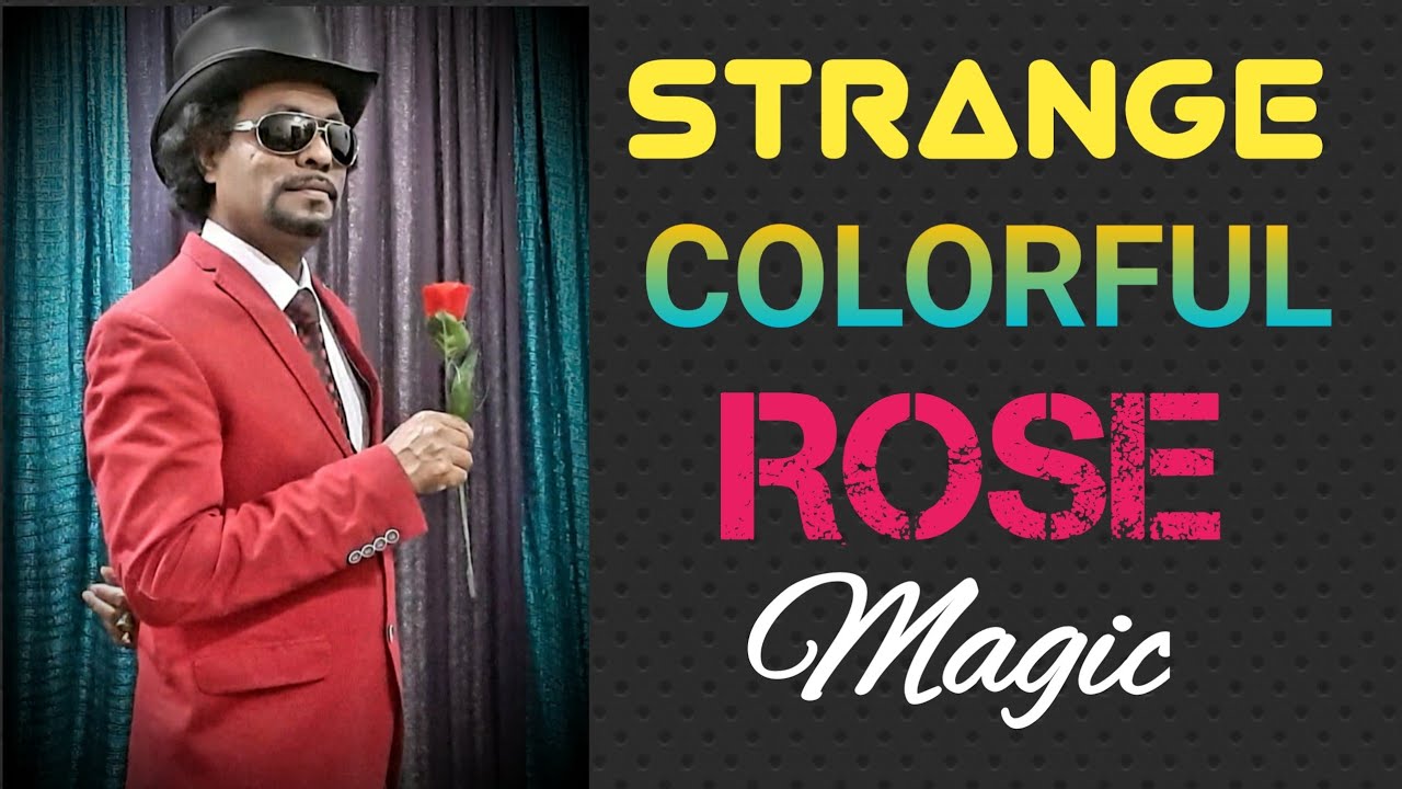 Strange Colorful Rose Magic Trick | by Dr.Gugampoo, Kuwait