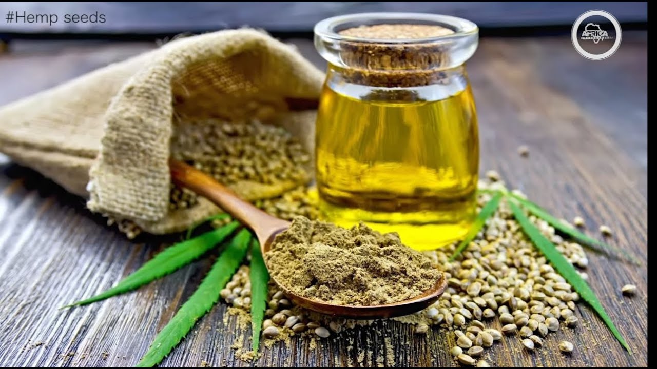 Marijuana Legalization: What's Your Take?