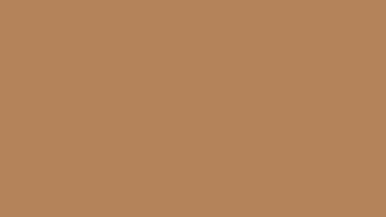 Sepia Brown screen 10 minutes HD!
