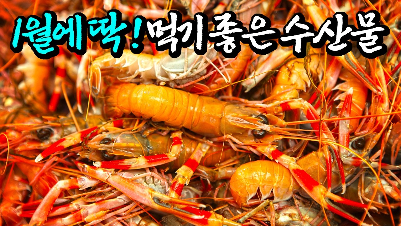 1년 중 가장 맛있다는 1월의 강추 수산물! 이 영상 본 사람들만 챙겨드세요~♡