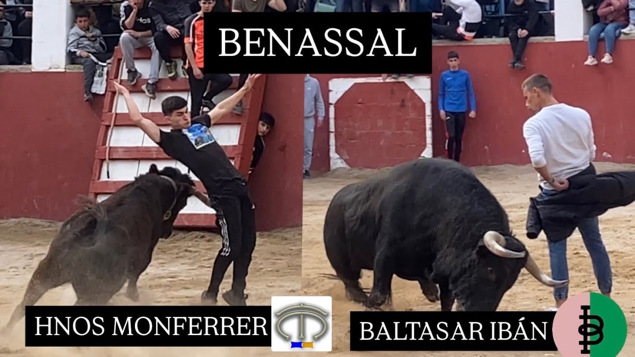 Benassal- EMBOLADORES B&I - Tarde vacas Hnos Monferrer y toro cerril Baltasar Ibán