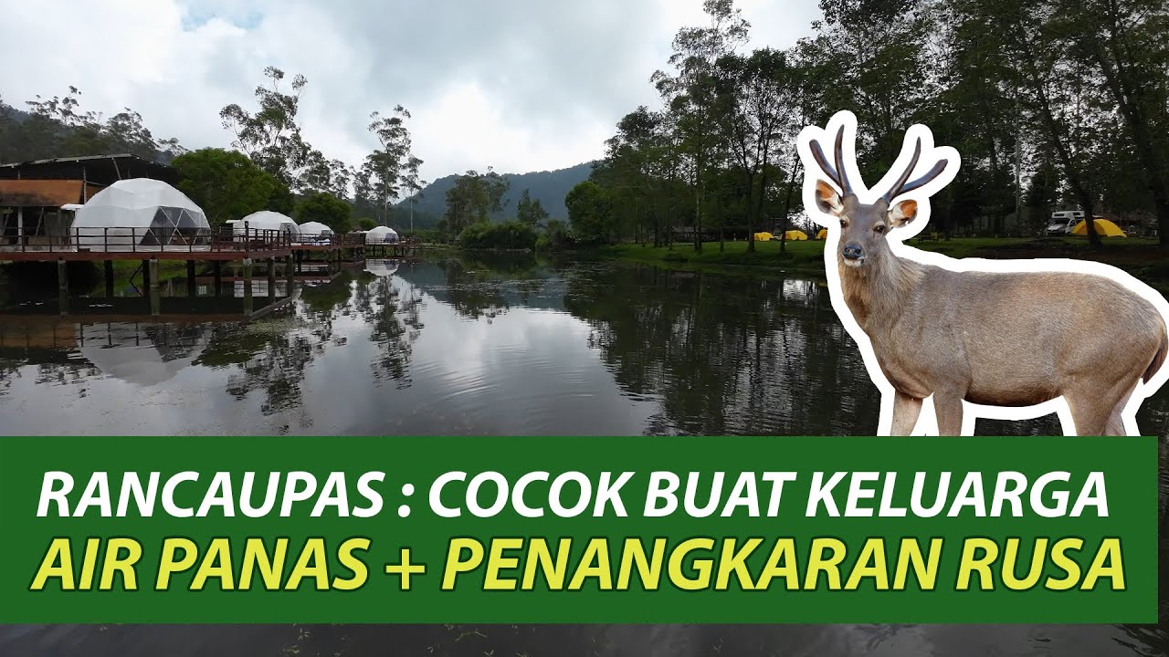 INI TEMPAT CAMPING YANG IDEAL BUAT KELUARGA | RANCAUPAS BANDUNG