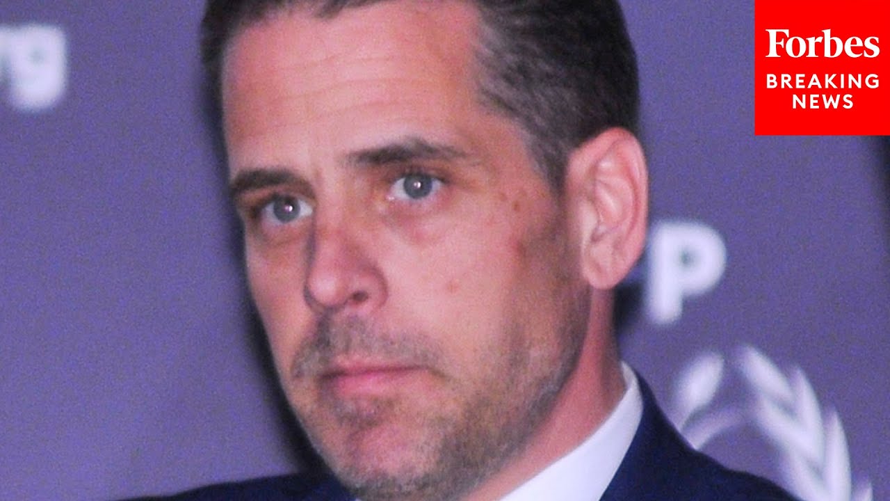 'Did They Follow The Law?': GOP Senator Calls Out Hunter Biden On Senate Floor