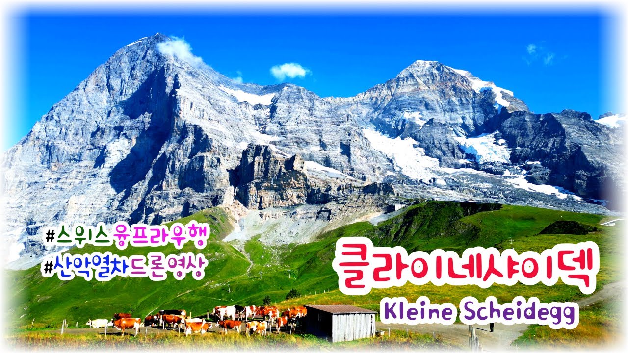 [스위스🇨🇭힐링영상] 알프스의 지붕, 융프라우로 가는 길목, 클라이네샤이덱 산악열차 드론 영상 | Switzerland Alps Drone - Kleine Scheidegg(4K)