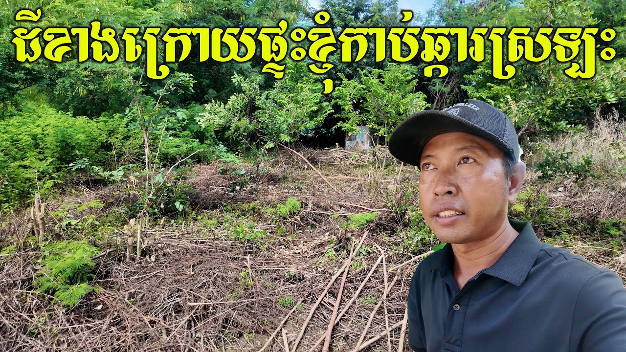 ដីខាងក្រោយផ្ទះខ្ញុំតាឈិន មកកាប់ឆ្ការស្រឡះ