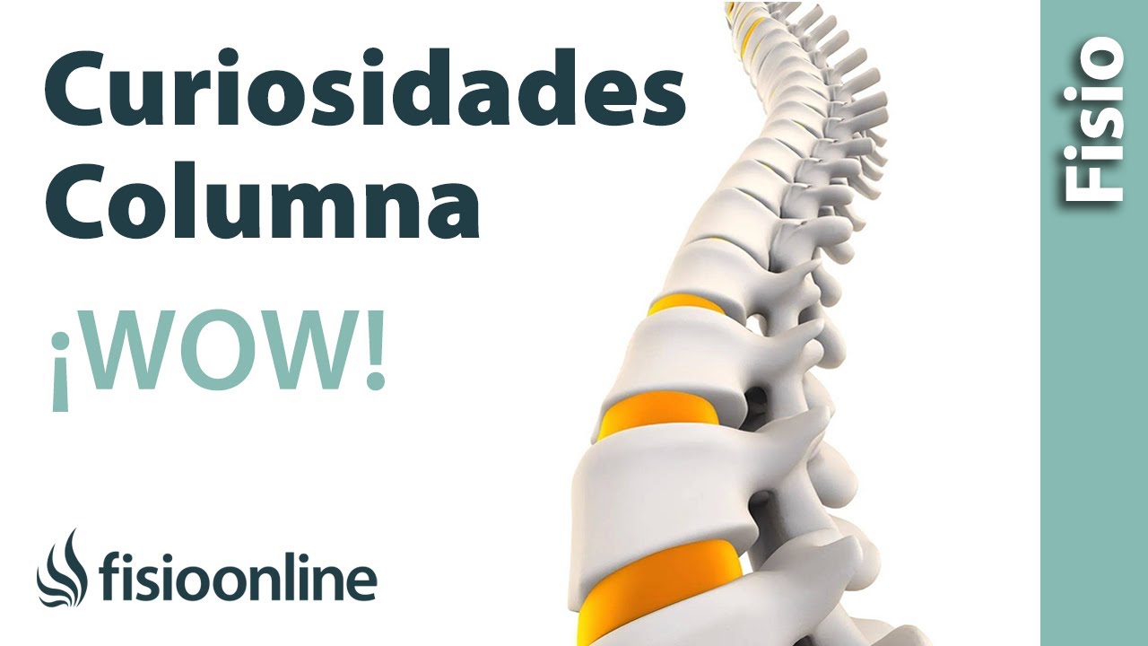 6️⃣CURIOSIDADES sobre la COLUMNA VERTEBRAL que seguramente no conoces 😲