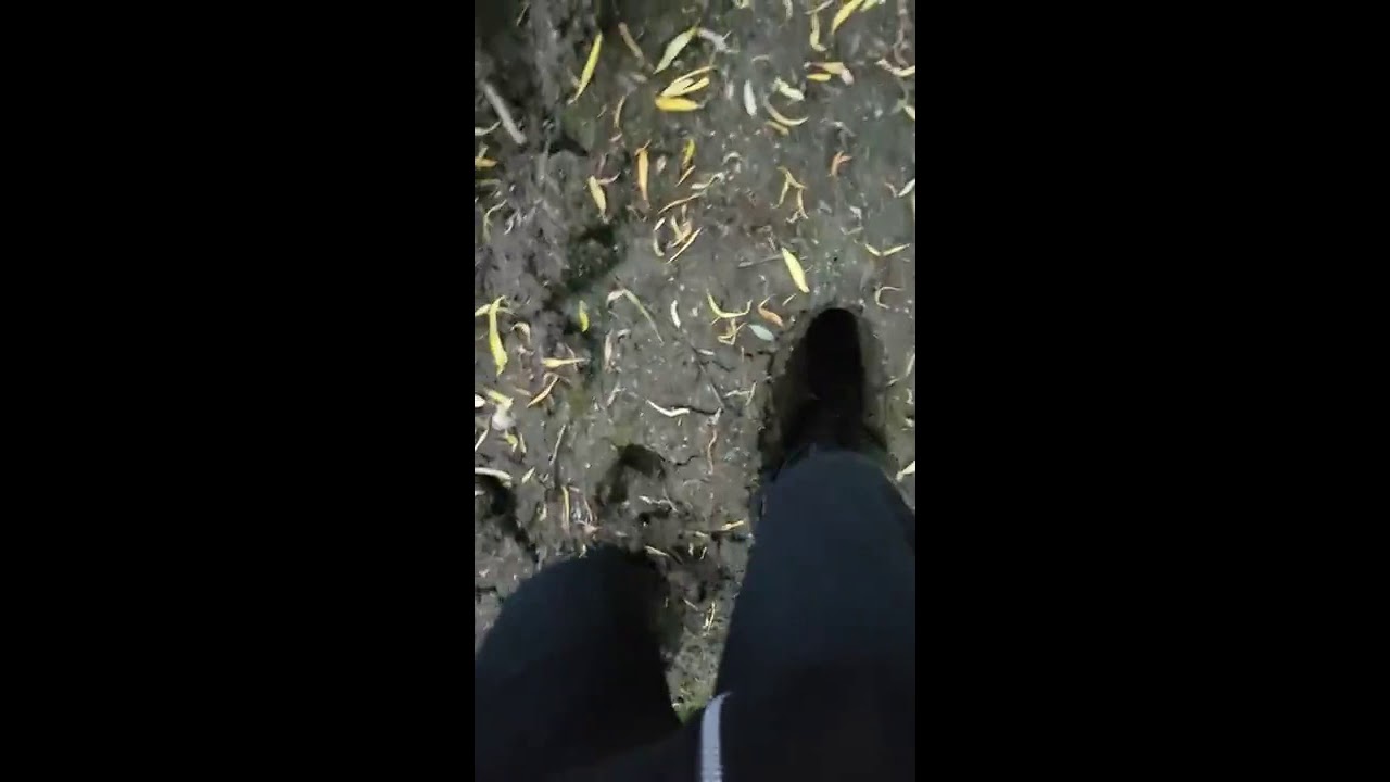New Aigle Riding Boots in mud
