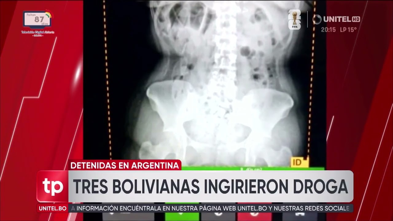 Bolivianos en Argentina y Chile fueron detenidos por transportar drogas