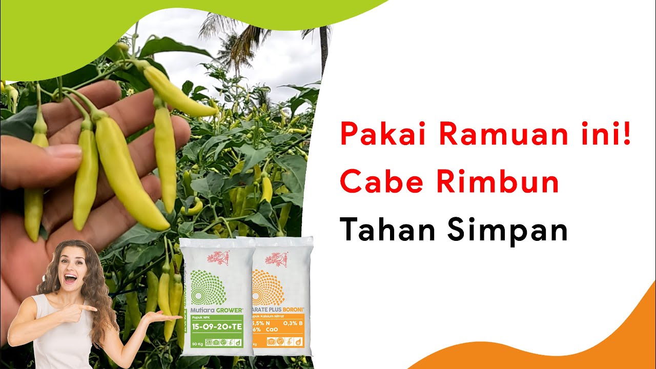 Pupuk Karate Plus Boroni Campur NPK, Cabe Tahan Simpan dan Tanaman Rimbun