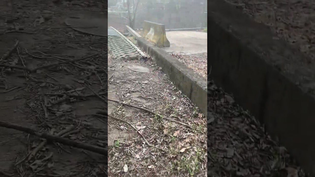 Davis Ave Bridge Reconstruction Project!