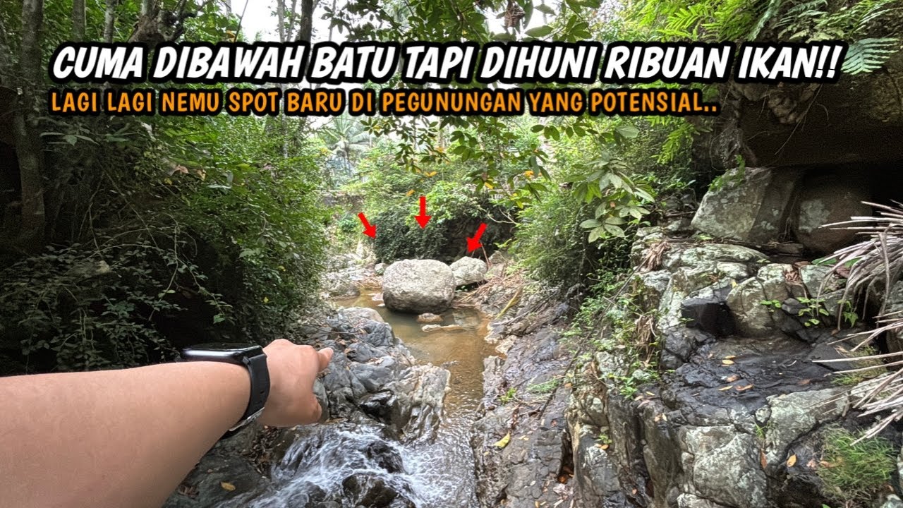 NEMU SPOT ISTIMEWA LAGI DI SUNGAI PEGUNUNGAN!! Mancing wader teknik kumbul umpan rasbora dan cacing