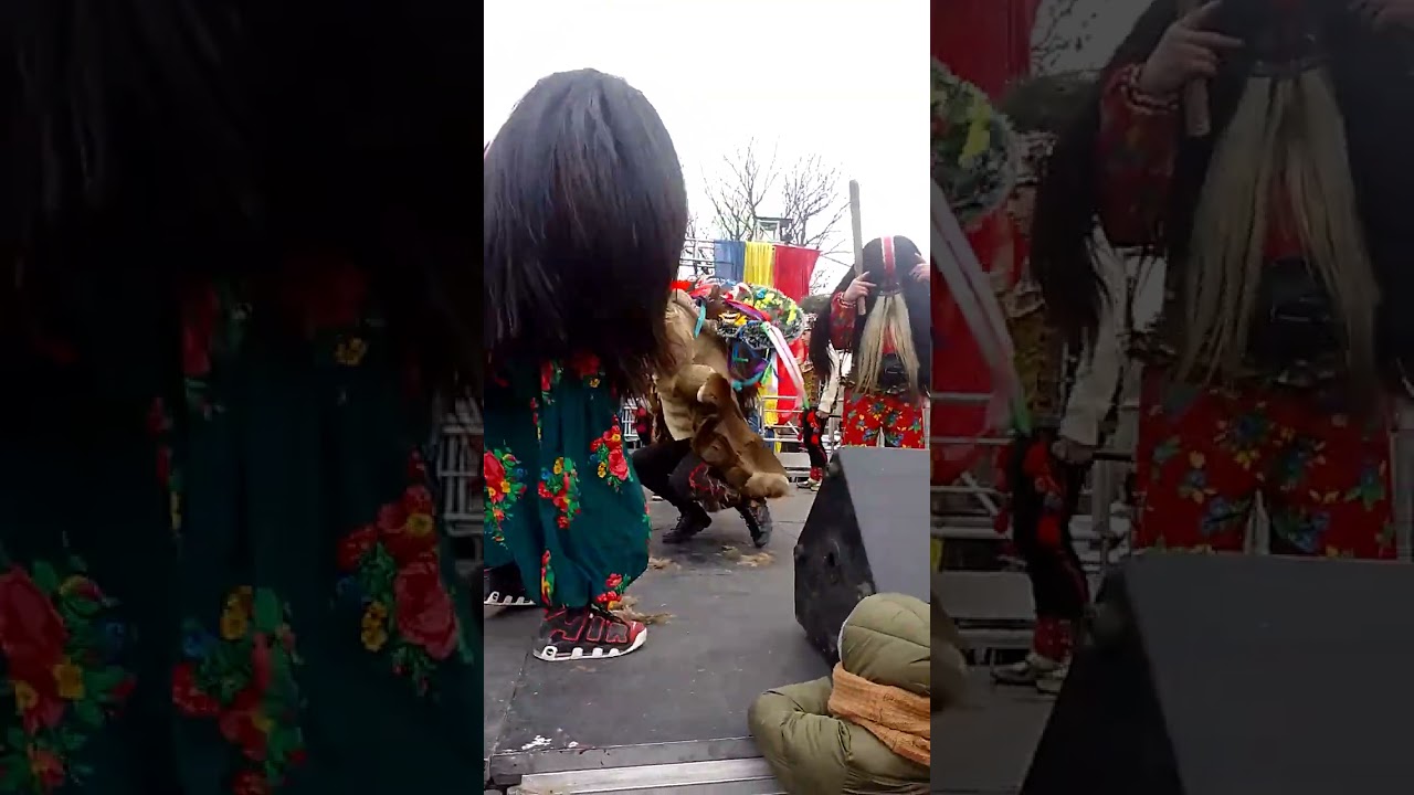 Cerbu de la Poiana Mărului