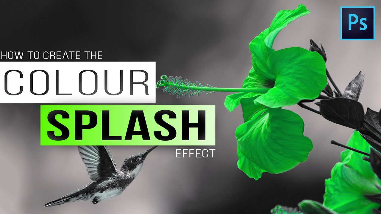 The Color Splash Effect - How To Make A Photo Black And White Except One Color (BEST WAY)