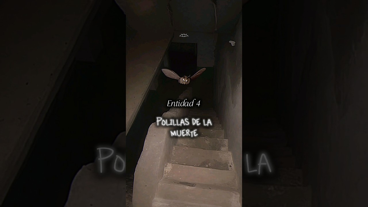 Entidad 4 Polillas 