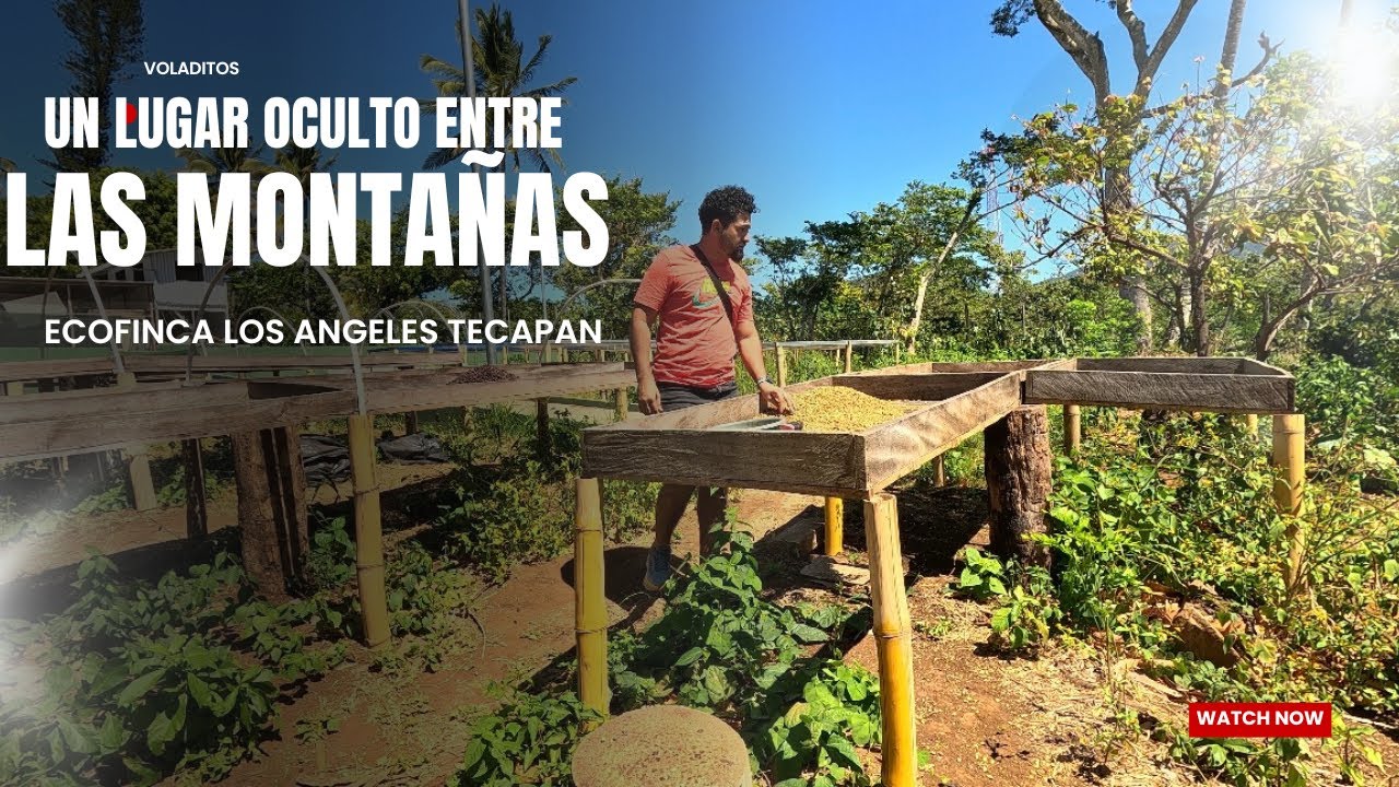 La mejor finca Cafetalera en Usulután, FINCA LOS ANGELES, TECAPAN 