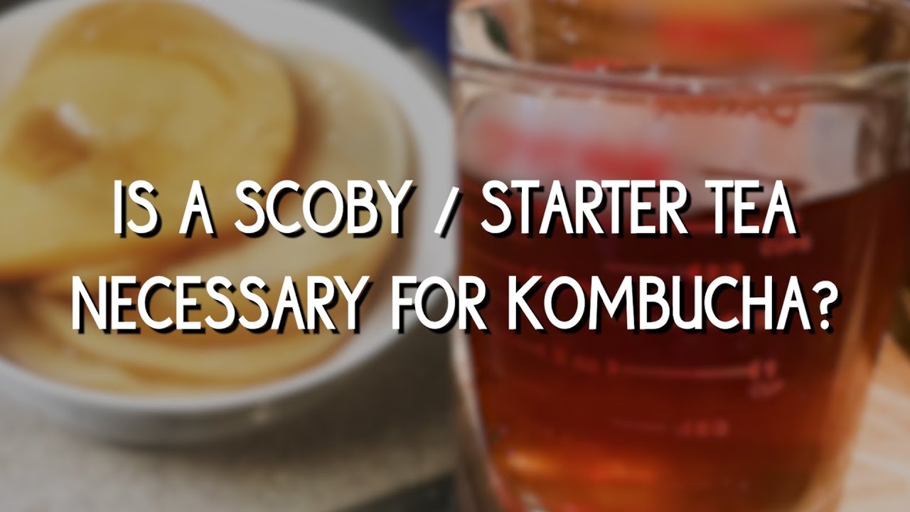 Is a SCOBY/starter tea necessary for making kombucha?